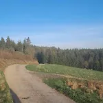 Olberowka *