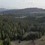 Olberowka Laliki