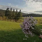 Lägenhet Olberowka *