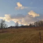 Olberowka Laliki