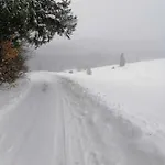 Lägenhet Olberowka *