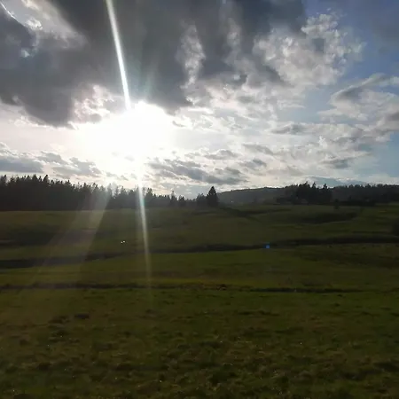 Olberówka Laliki