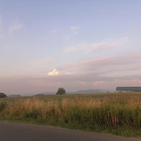 Apartment Olberowka *