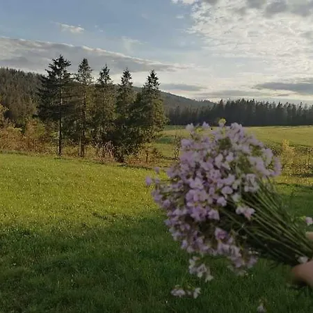 Apartment Olberowka *