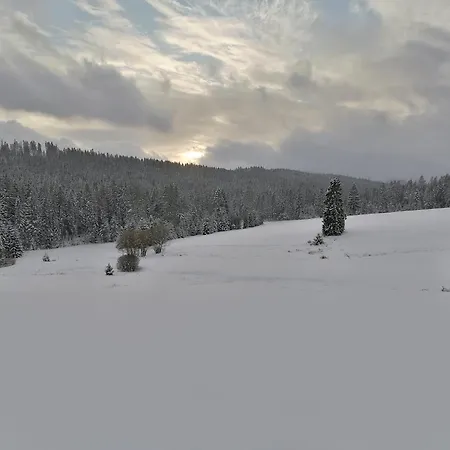 Olberowka Apartment Laliki