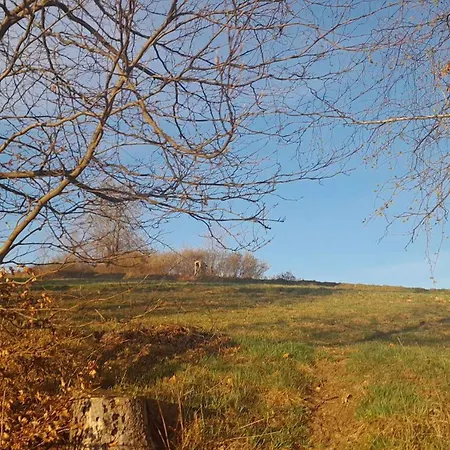 Olberowka Apartment *