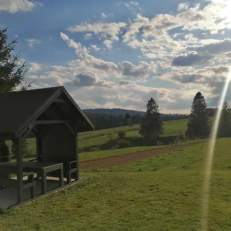 Olberówka Apartamento *