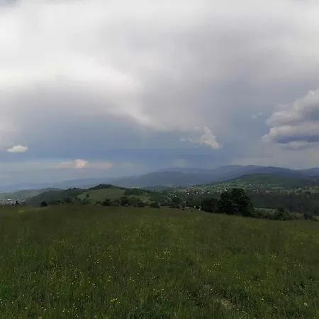 Olberówka * Laliki