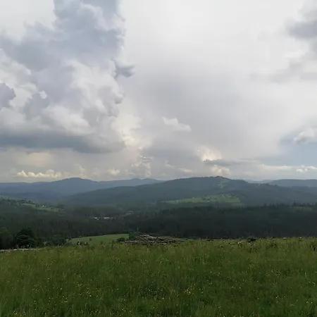 Olberówka Laliki