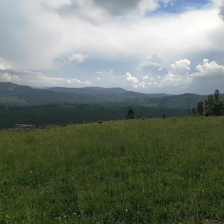 Olberówka *