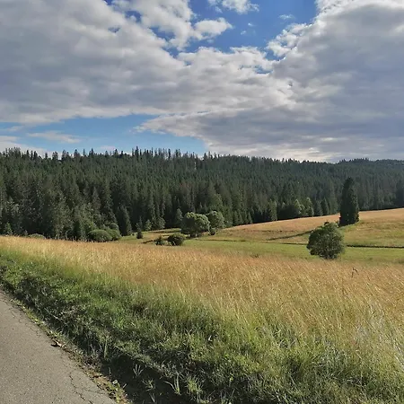 Olberowka Apartment *