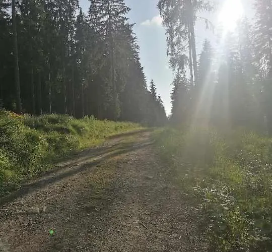 Olberówka Apartamento