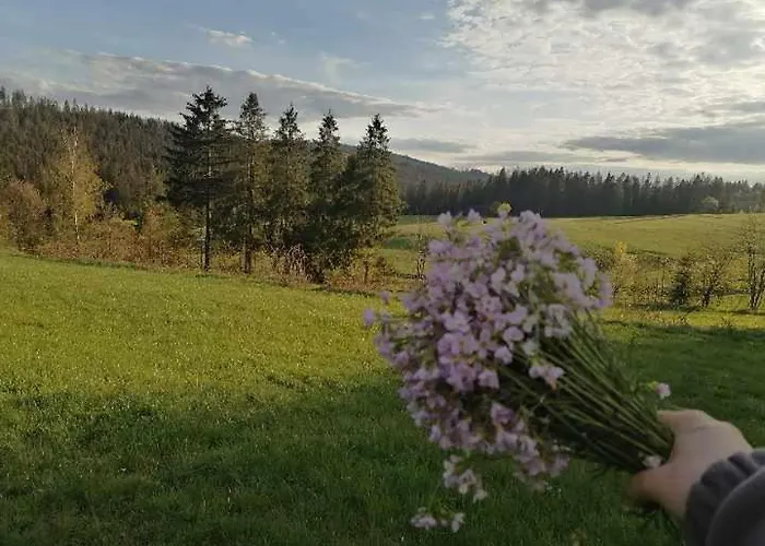 דירה Olberowka *