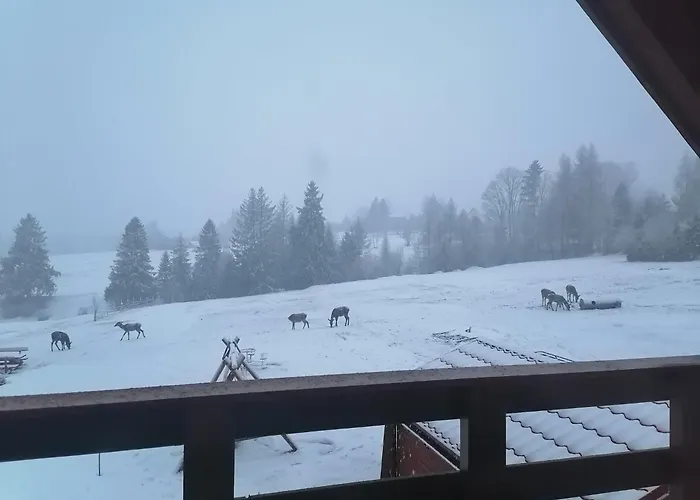 Olberowka Apartmán *