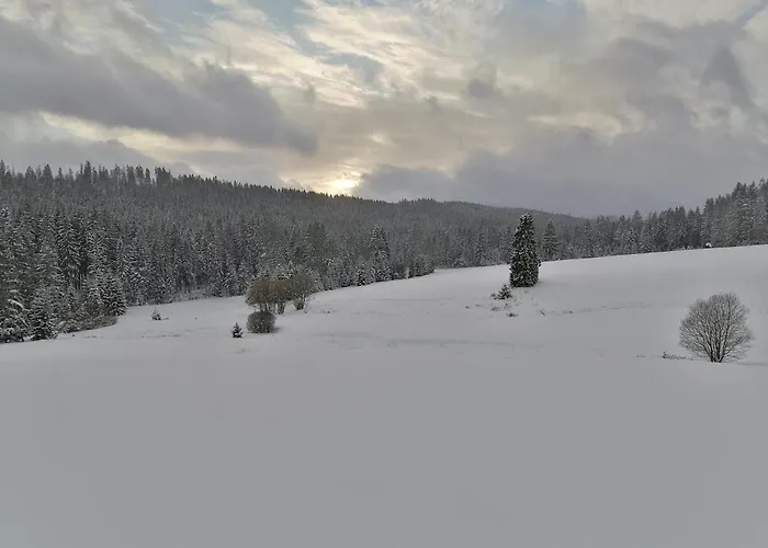 Olberowka דירה Laliki