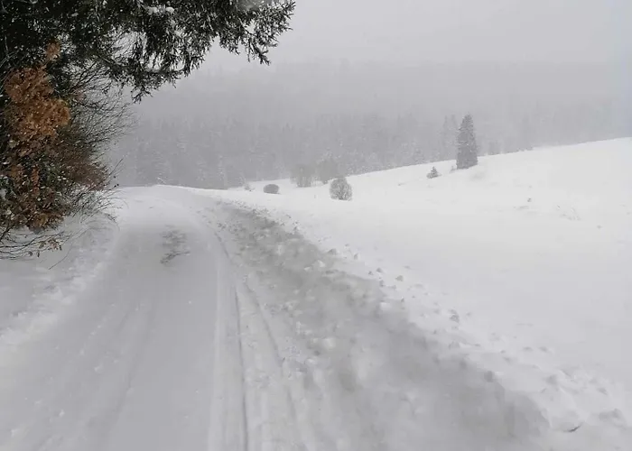 דירה Olberowka *