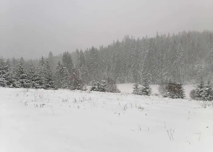 Olberowka דירה *