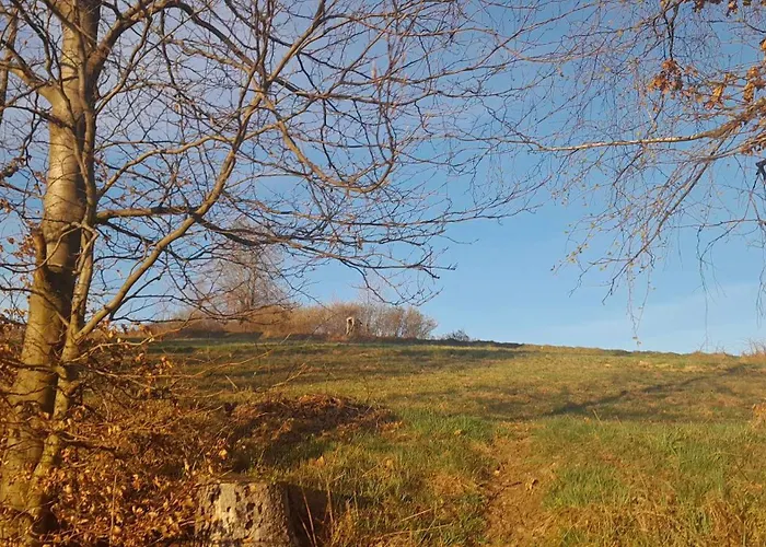 Olberówka Apartamento *