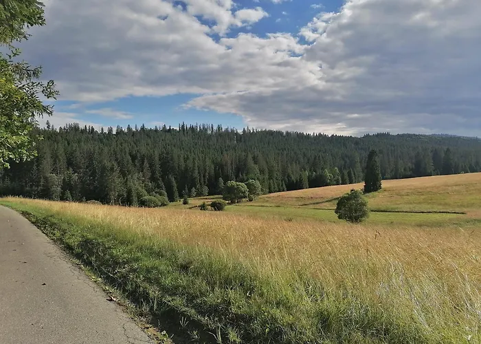 Olberowka דירה *